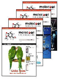 Molecool - Jahresabo